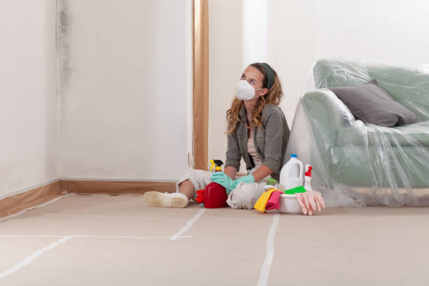 Reliable Mold Removal contractor in Hillsboro, OR by Car Mold Remediation